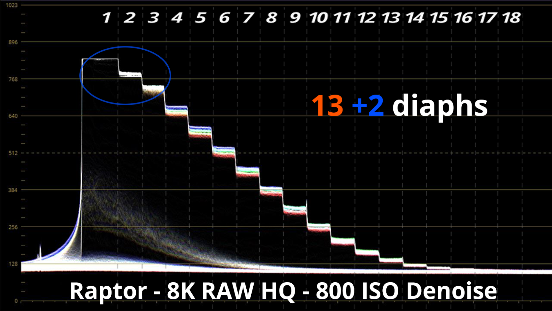 raptor 8K RAW 800 ISO denoise.png