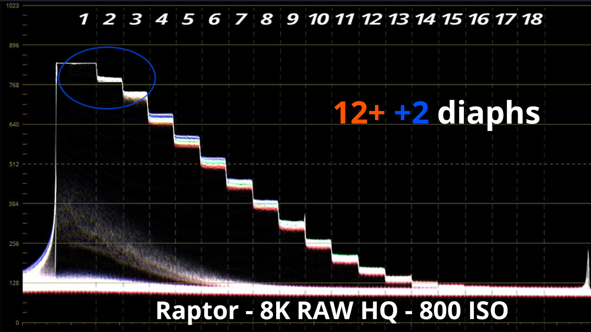 raptor 8K RAW 800 ISO.png