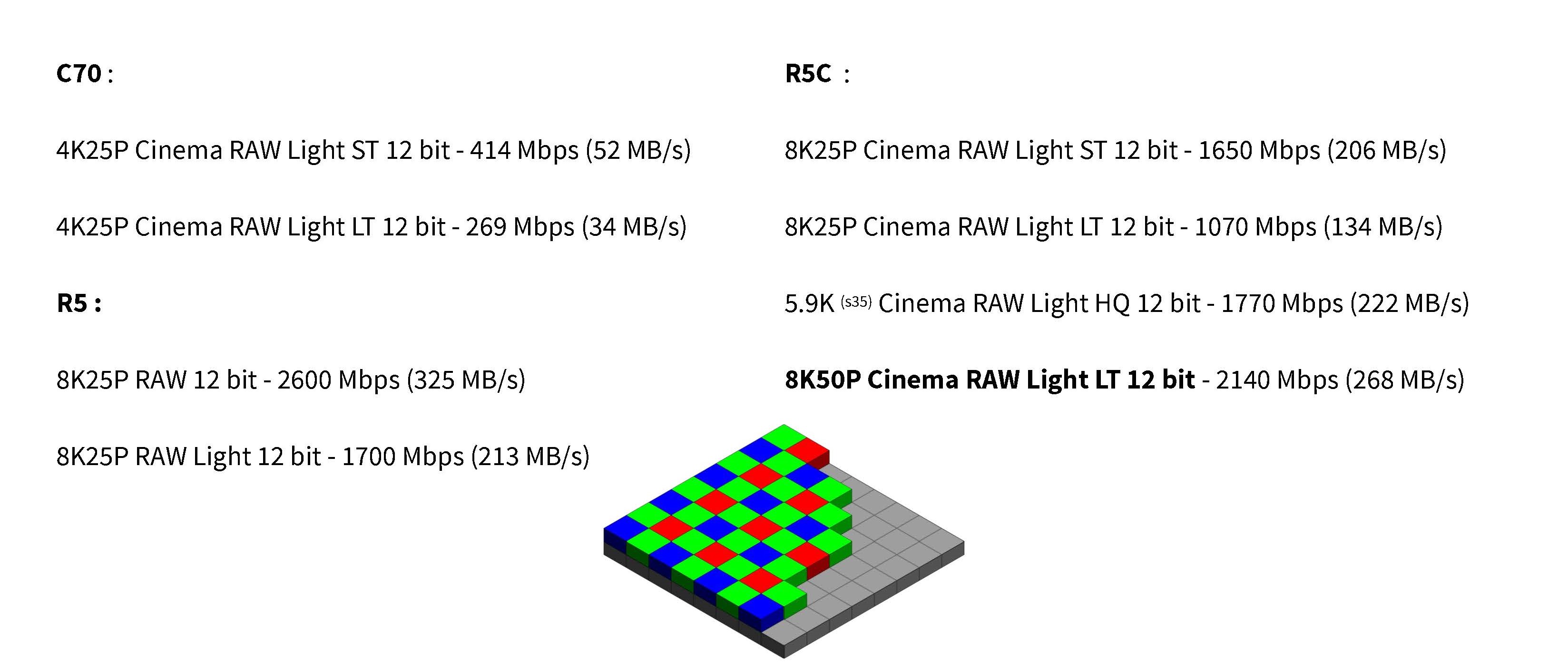 RAW 12 bits.jpg
