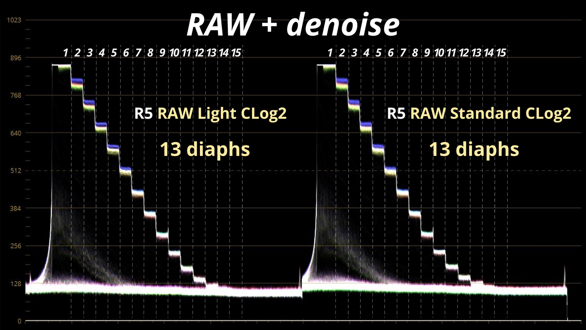 RAW light Vs RAW Standard denoise_6.2.1.jpg