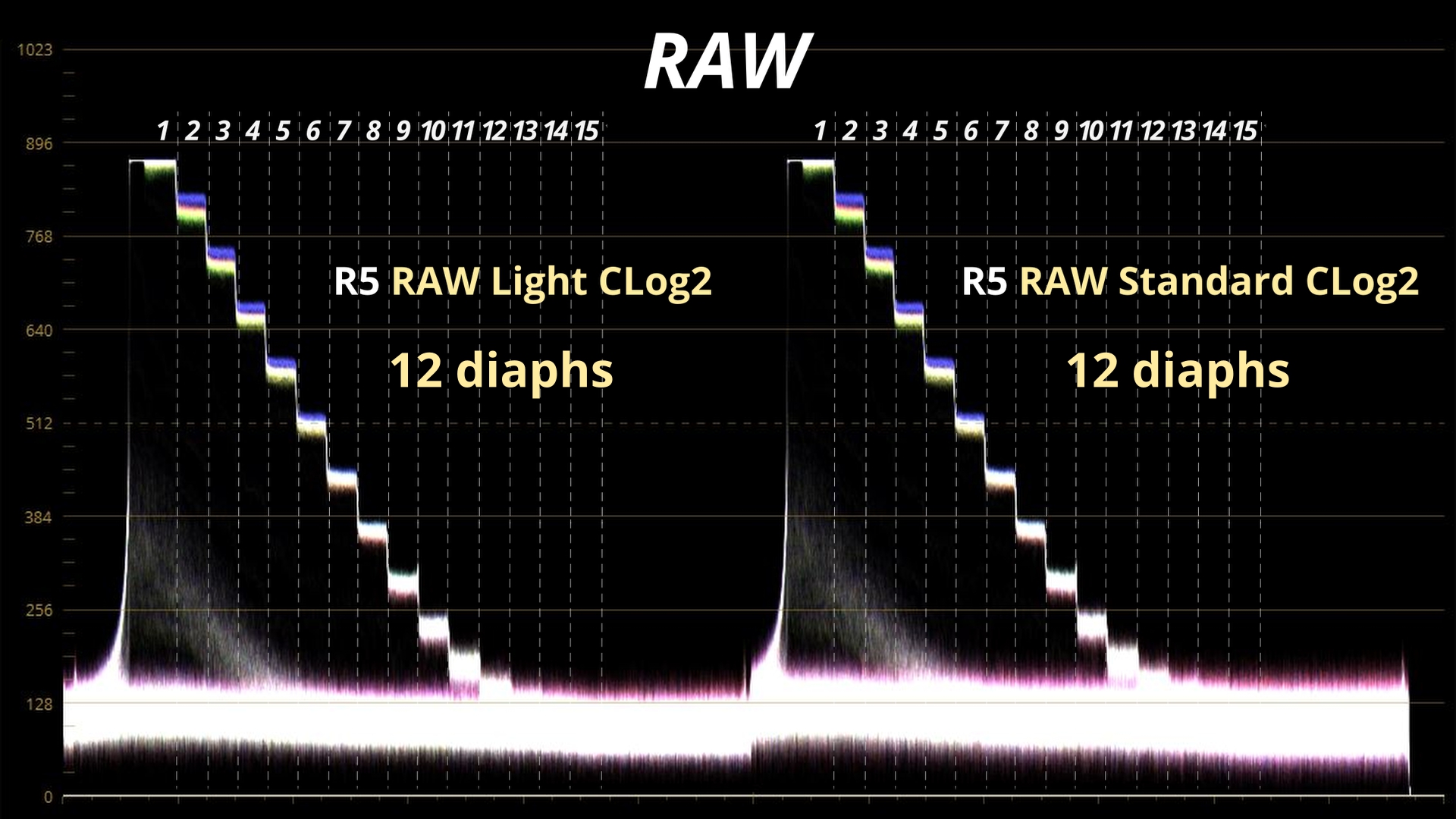 RAW light Vs RAW Standard_6.1.1.jpg