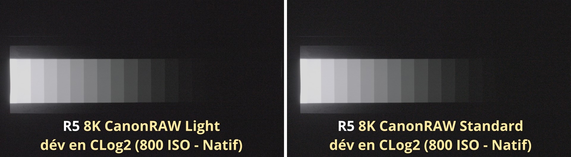 RAW standard Vs RAW light recadré.jpg