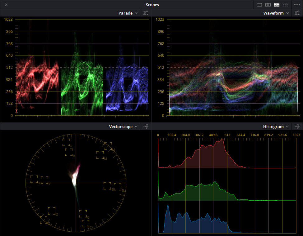 Scope_DCI_XYZ_SUR_TL_REC_709_Gamma_2_4.jpg