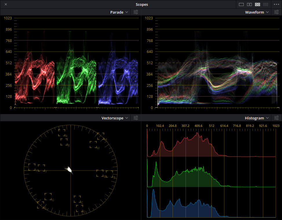 Scope_REC_709_Gamma_2_4.jpg