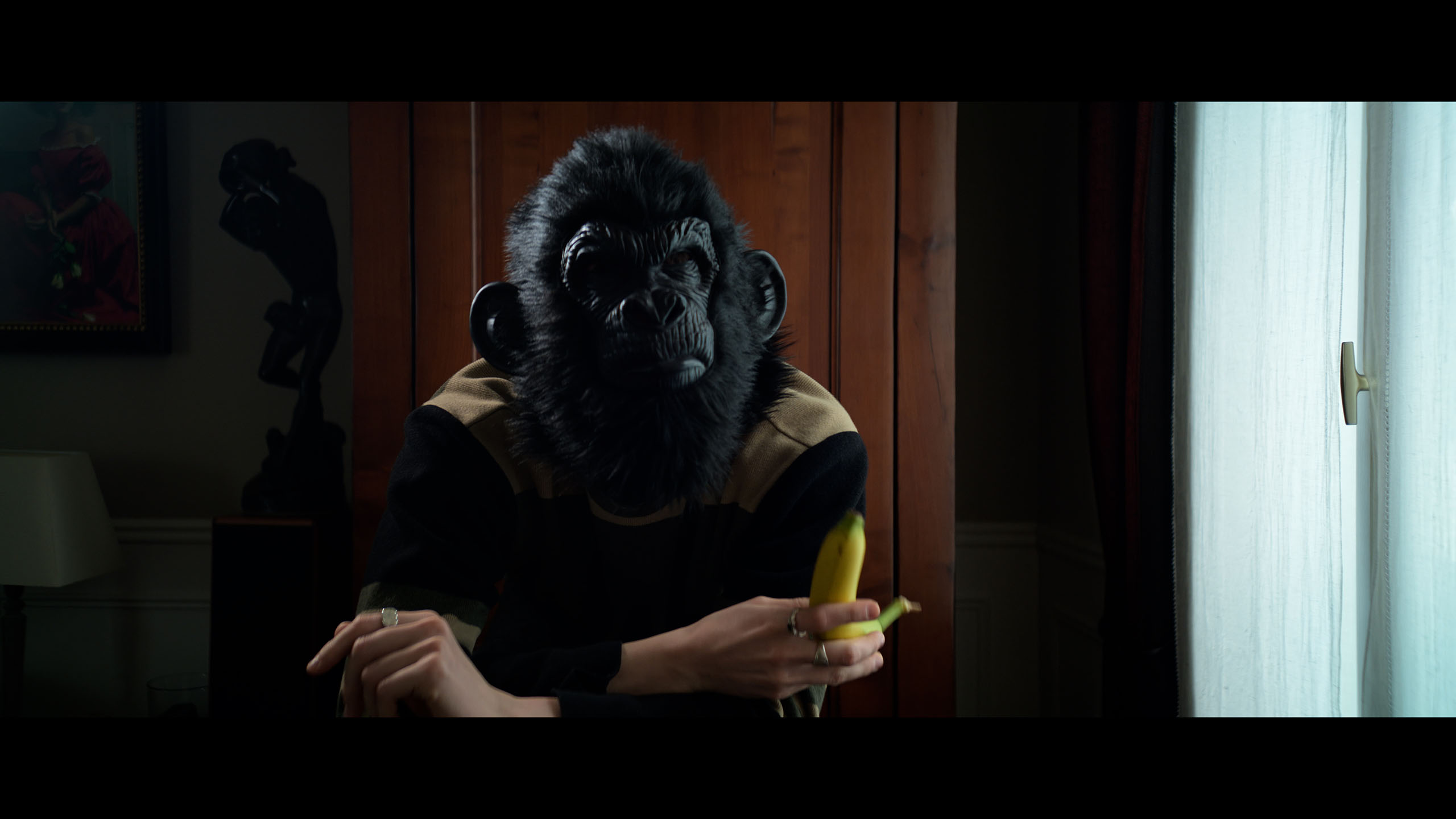 Singe H265 10bit SDR Anamorphique FiltreND.00_00_12_05.Still001.jpg