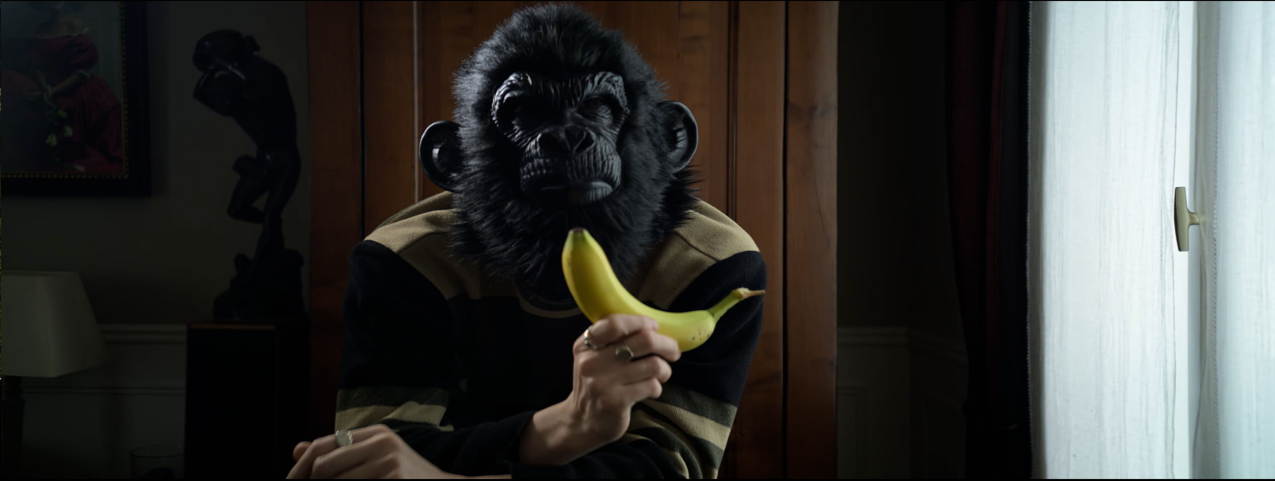 Singe H265 10bit SDR Anamorphique FiltreND.mp4_snapshot_00.01_[2026.02.07_17.33.27].jpg