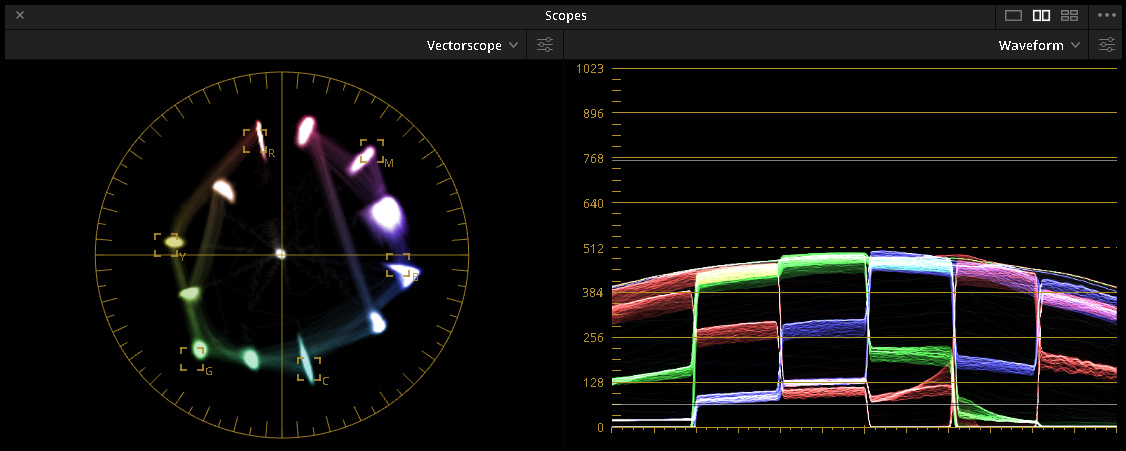 Sony_ Aplha100_Vectorscope.jpg