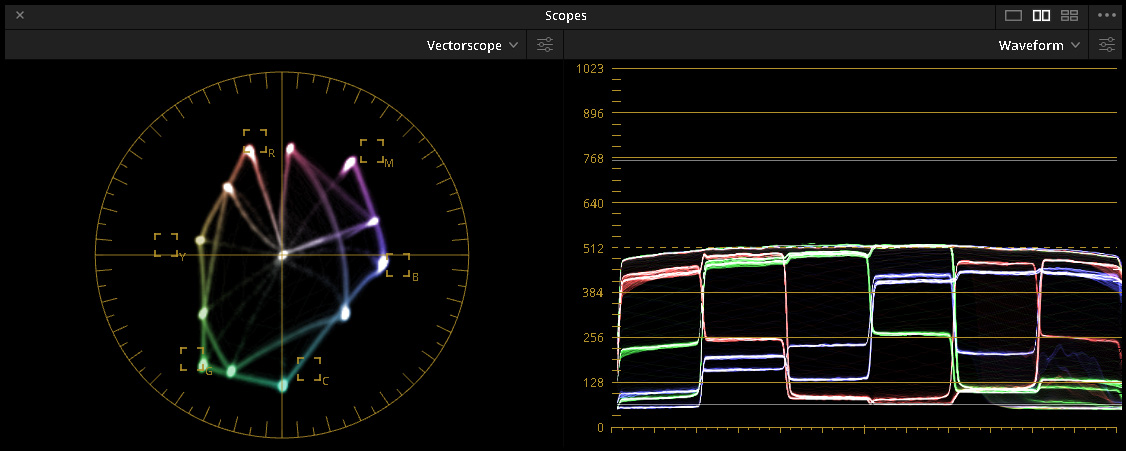 Sony_FDR-AX700_Vectorscope.jpg