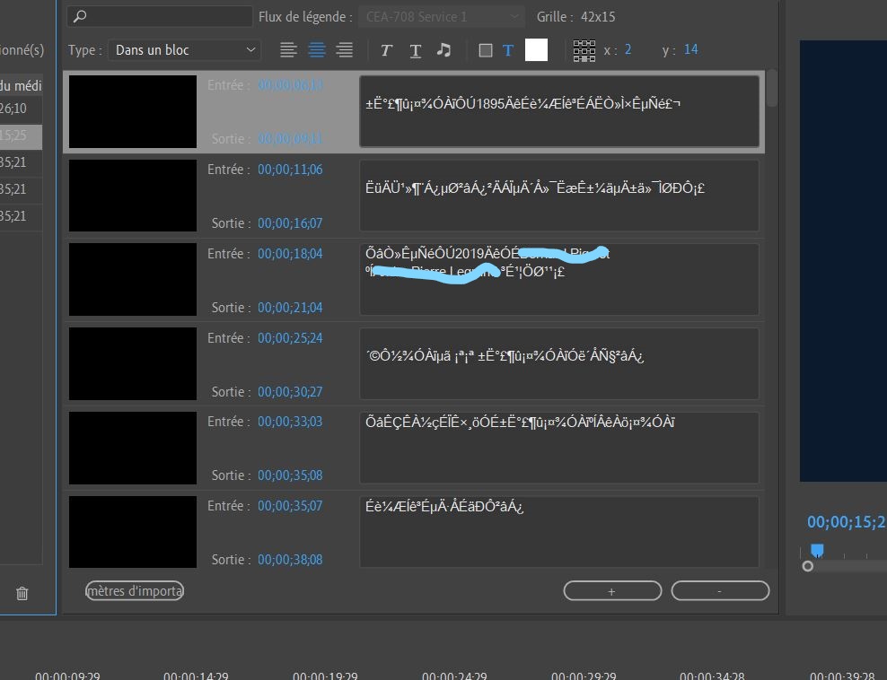 Sous-titres chinois srt dans PrPro 2.JPG