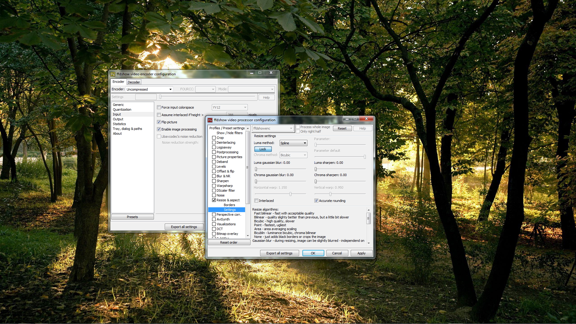 spline ffdshow video encoder.jpg