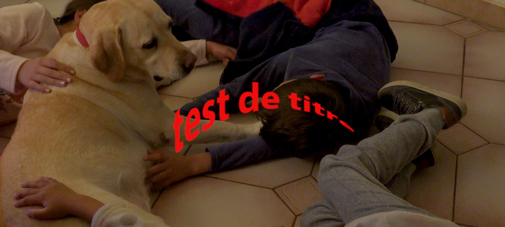 Test titre incurvé.jpg