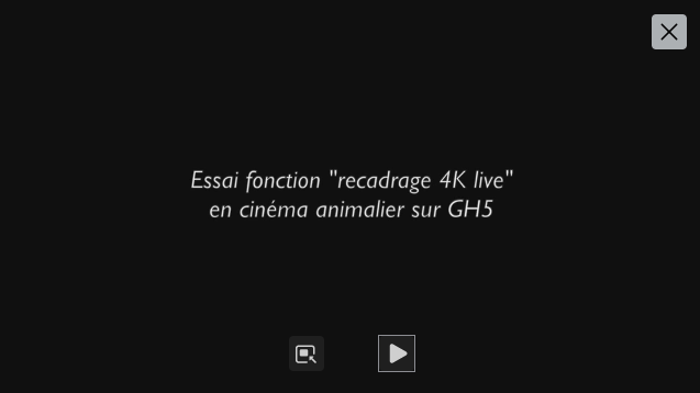 upload_2021-12-16_14-27-11.png