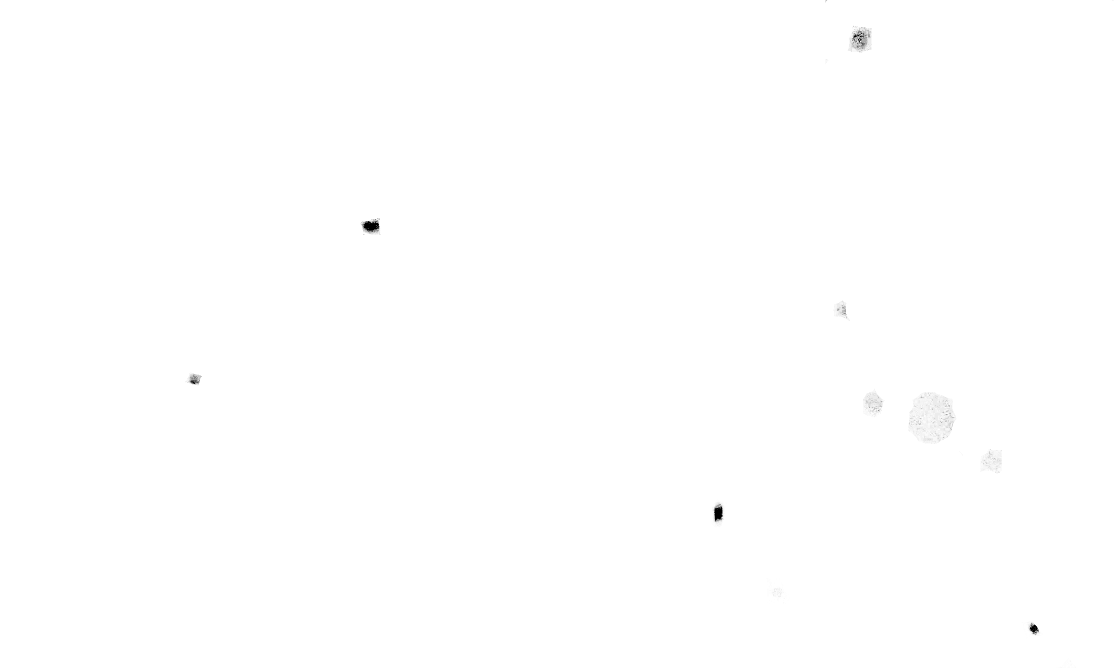 upload_2024-4-4_1-23-9.png