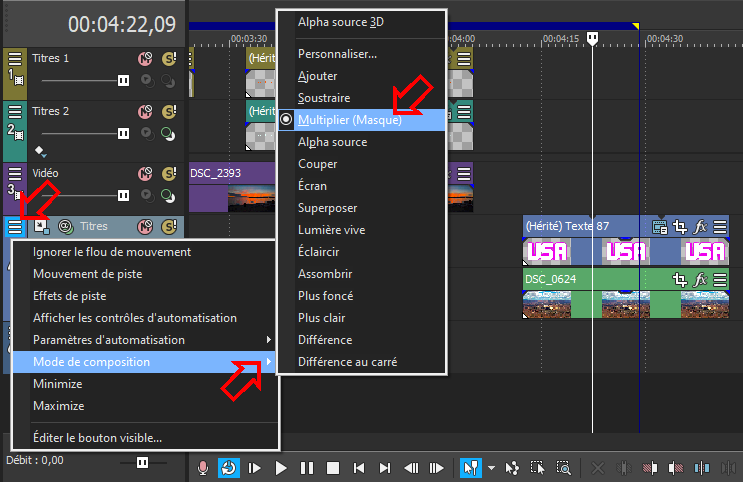 Vegas Pro 17 Titre en réserve.png