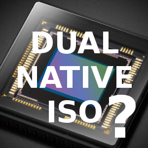 vignette_dual_native_iso.png