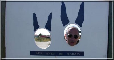 g-ane-droit.jpg