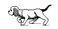 chien1.gif
