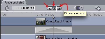 phot1.jpg