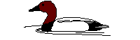 bird2_19879.gif