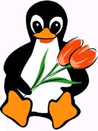pingouin et fleur.jpg