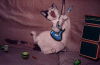scordebar_chat.gif