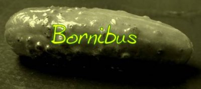 cornichon03b.jpg
