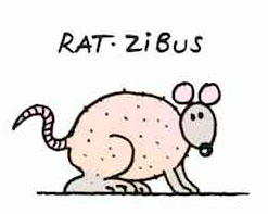 rat-zibus.jpg