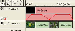 vidéonoir copier.jpg