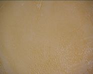 mon mur2 0012.jpg