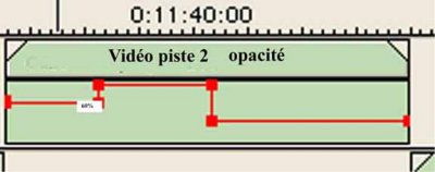 sans titre-1.jpg