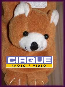 cirque-et-ours.jpg