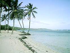 abalanga-plage.jpg