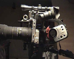 photo 1.jpg