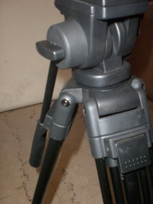 CIMG2385.JPG