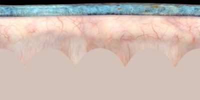 map oeil equirectangulaire.jpg