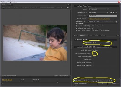 blu ray multiplexage.JPG