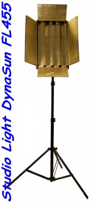 fl455_01m.jpg