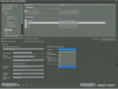edius export f11.JPG