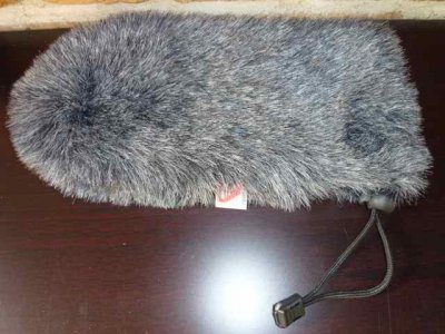 Rycote.jpg
