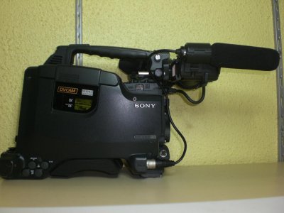 450-1.jpg