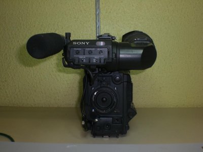 450-3.jpg