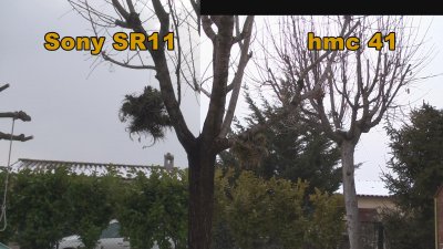sr11-hmc41 ext tout auto.JPG