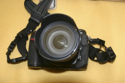 IMG_5939.jpg