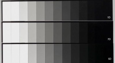 1D7D5D.jpg