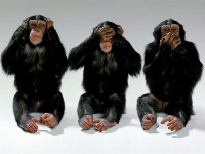les trois singes philosophes.jpg