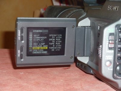 P1000775.jpg