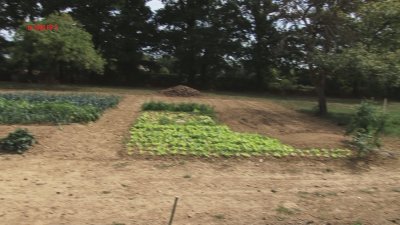 jardin fx 1000 pp3.jpg