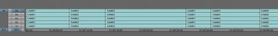 CCmulticam01.JPG