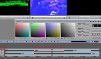 CCmulticam07.JPG