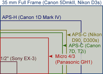 Sensor_Sizes1.jpg